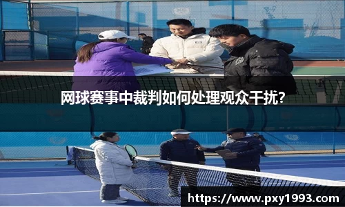 网球赛事中裁判如何处理观众干扰？